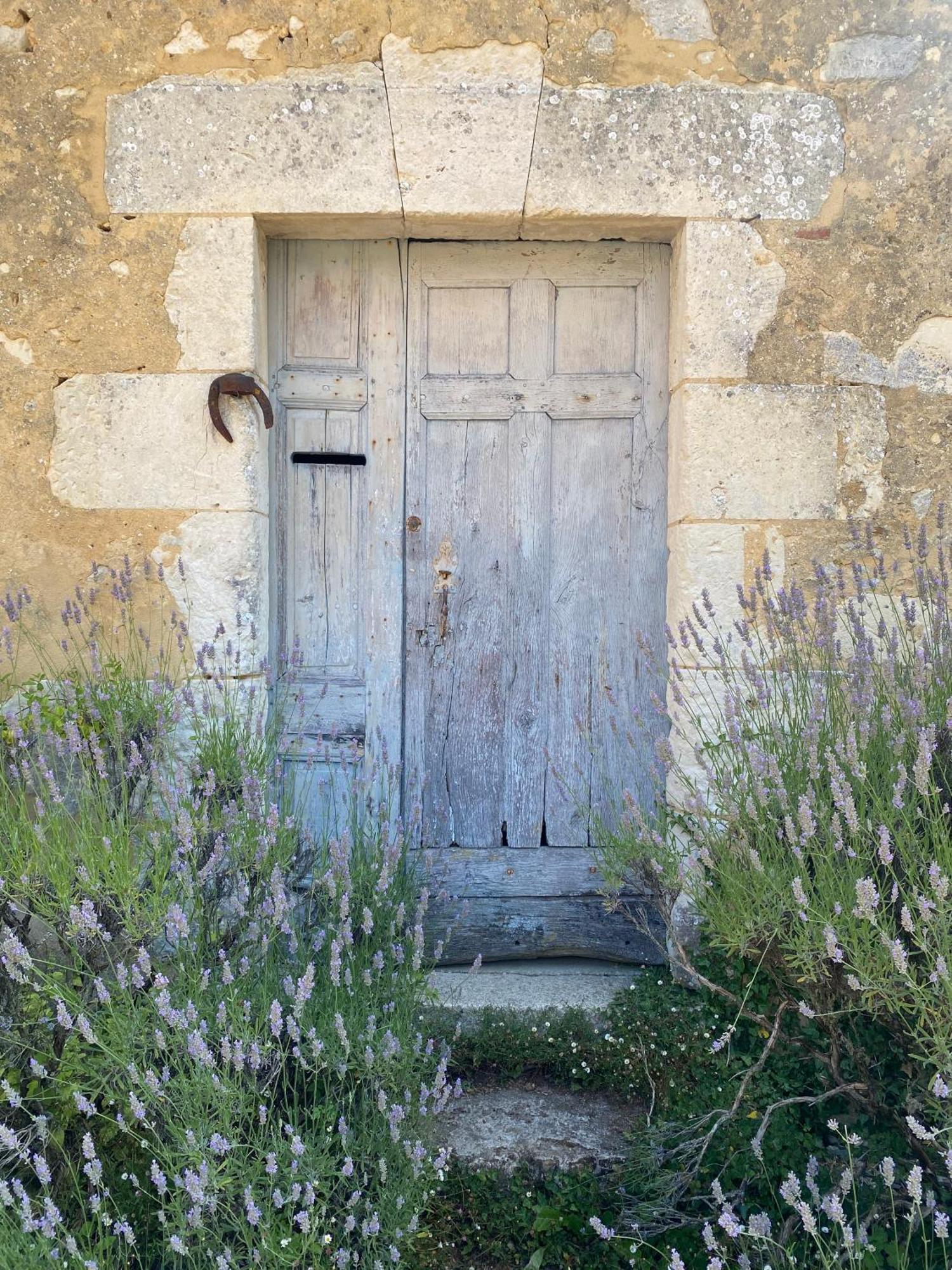 Le Manoir Du Plessis Ξενοδοχείο Dance  Εξωτερικό φωτογραφία