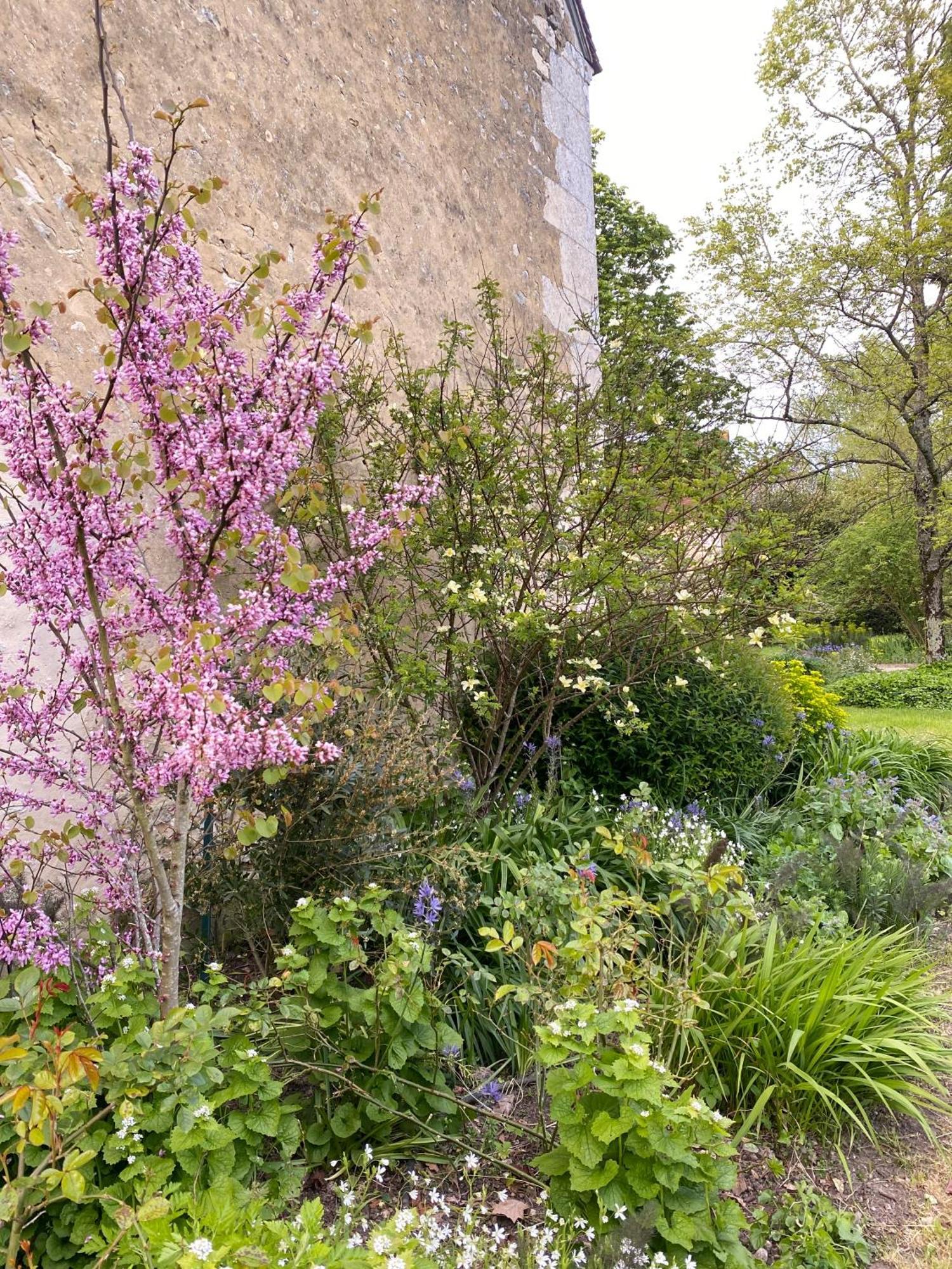 Le Manoir Du Plessis Ξενοδοχείο Dance  Εξωτερικό φωτογραφία