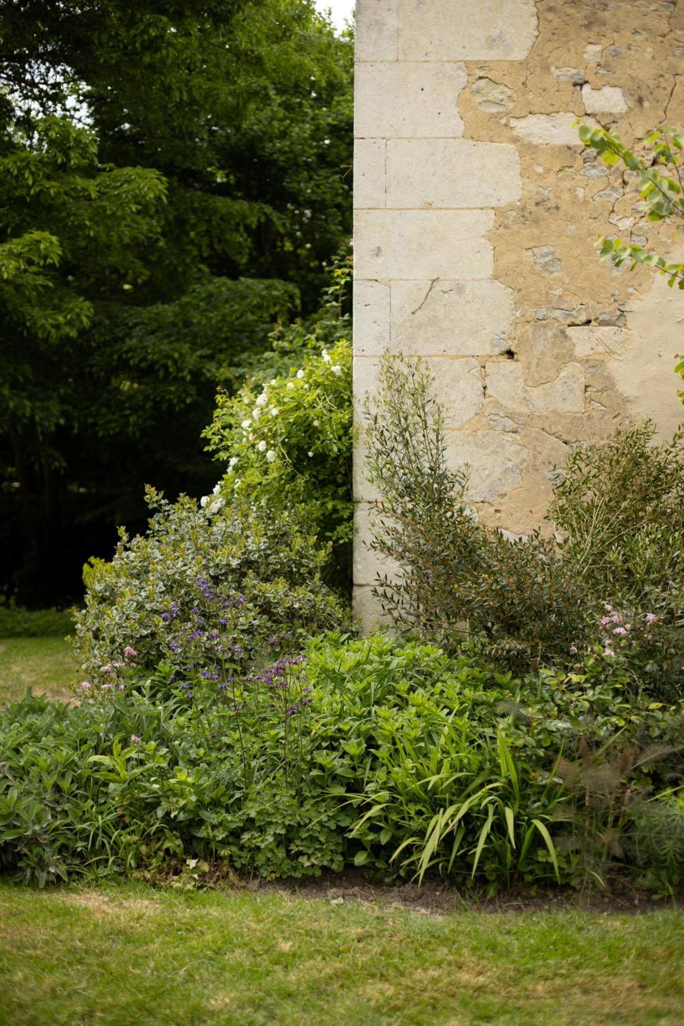 Le Manoir Du Plessis Ξενοδοχείο Dance  Εξωτερικό φωτογραφία