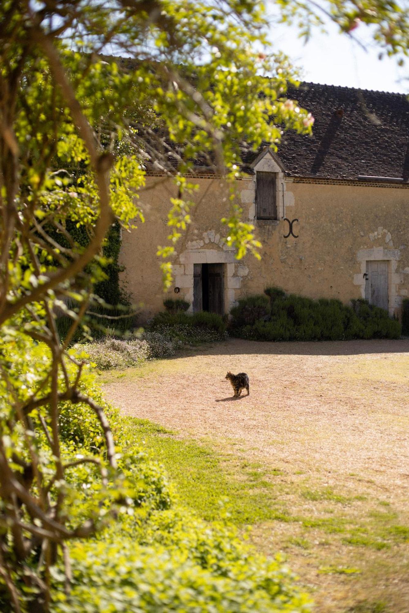 Le Manoir Du Plessis Ξενοδοχείο Dance  Εξωτερικό φωτογραφία