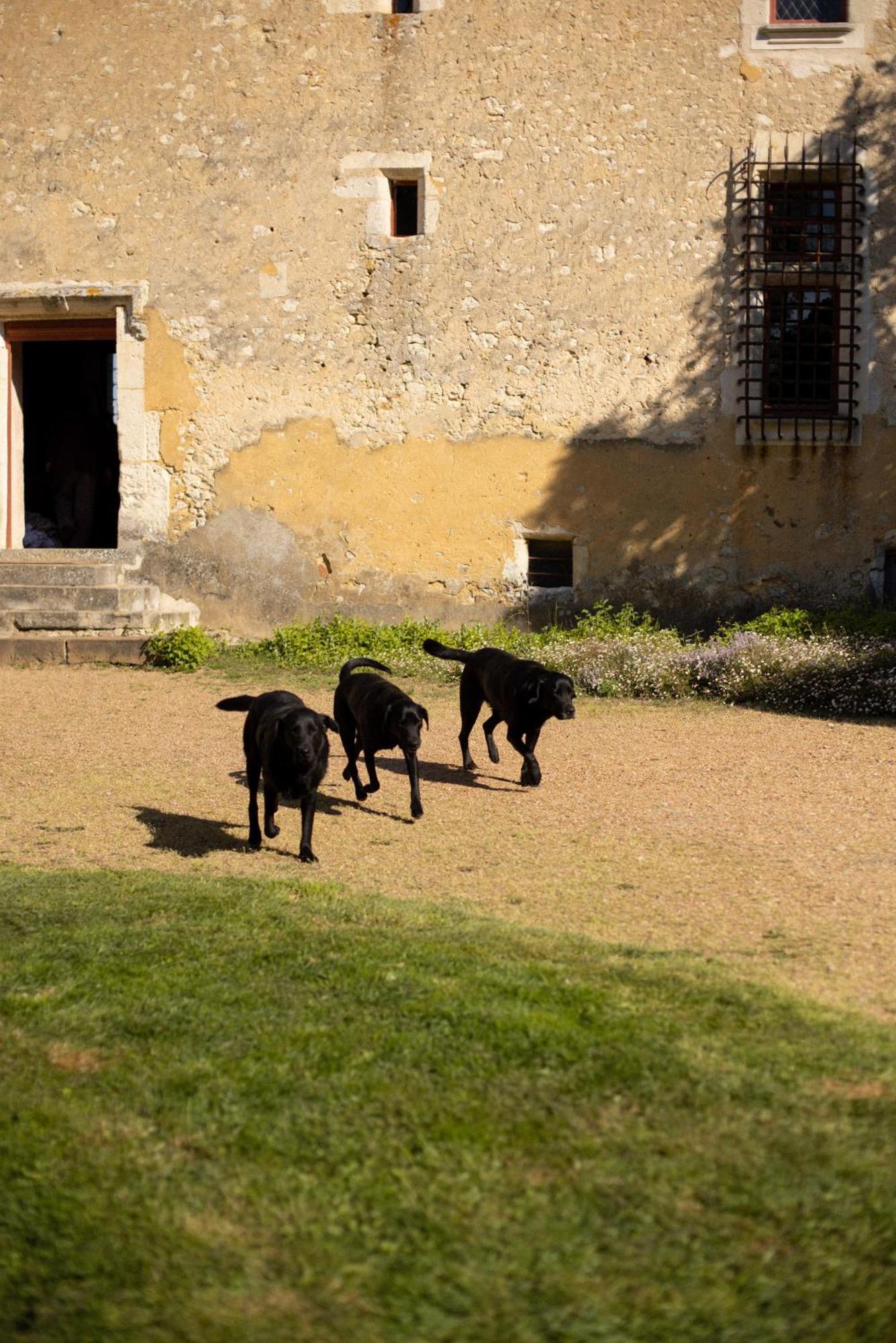 Le Manoir Du Plessis Ξενοδοχείο Dance  Εξωτερικό φωτογραφία