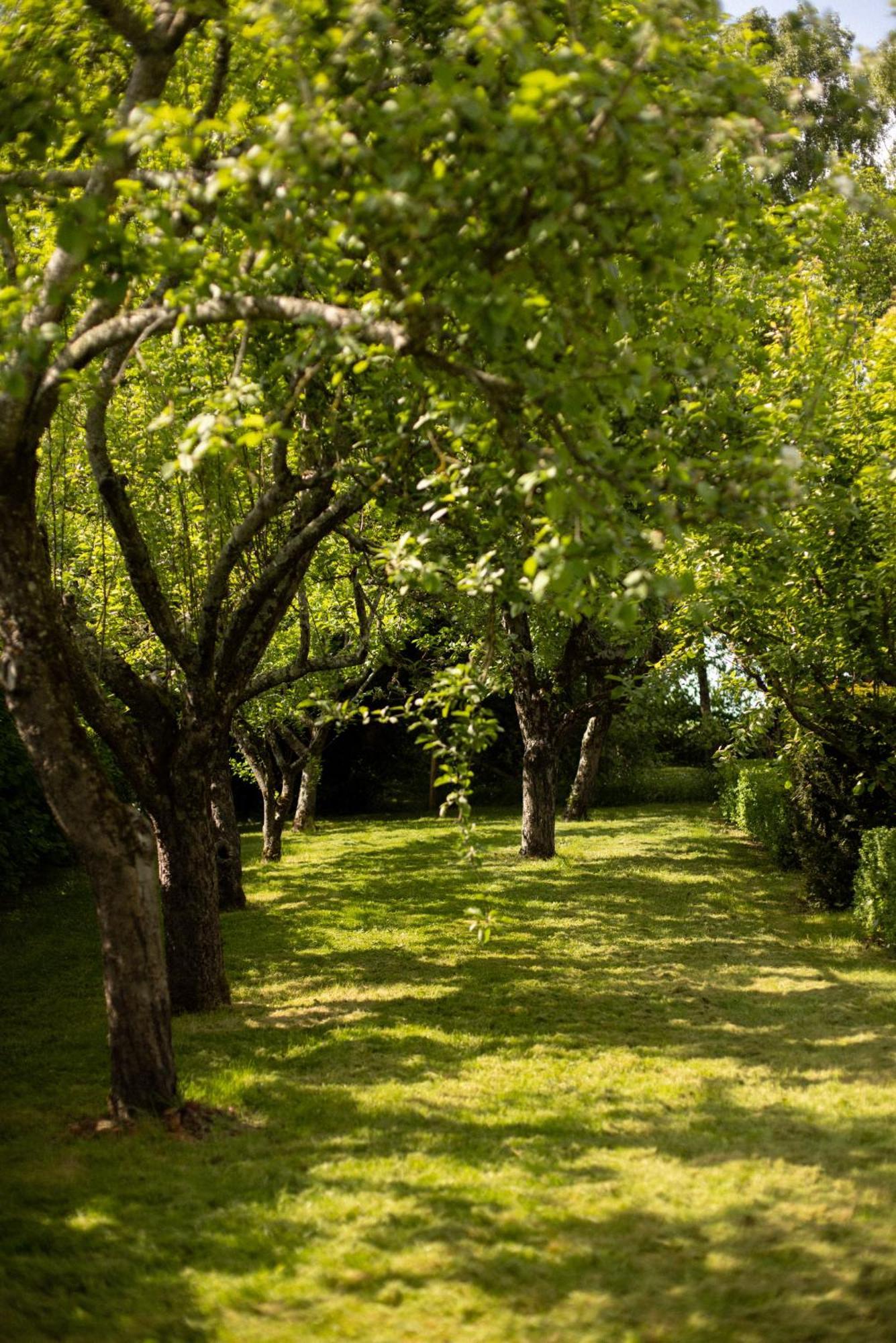 Le Manoir Du Plessis Ξενοδοχείο Dance  Εξωτερικό φωτογραφία
